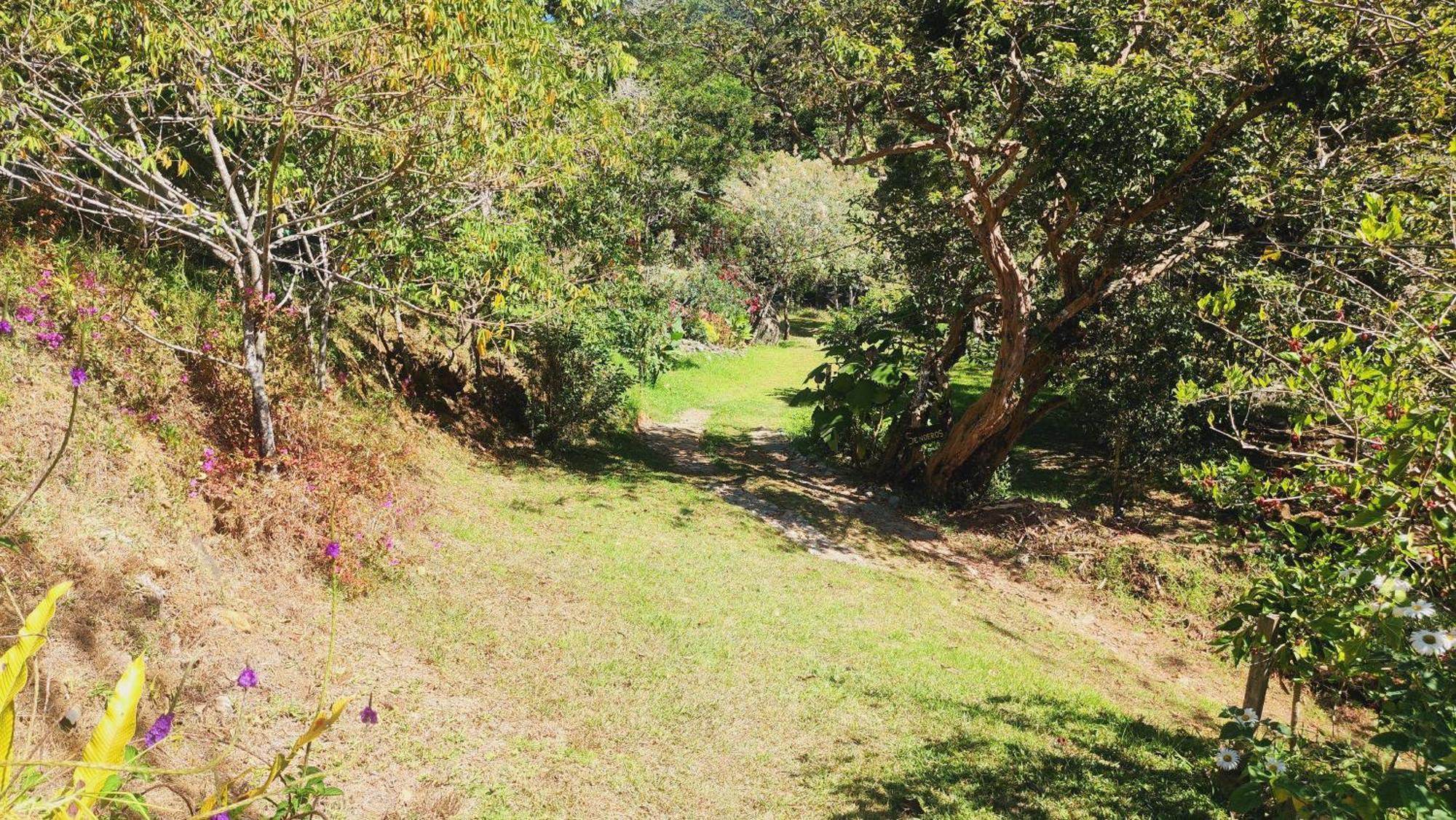 Hospedajes Richie Eco Camp Providencia Buitenkant foto
