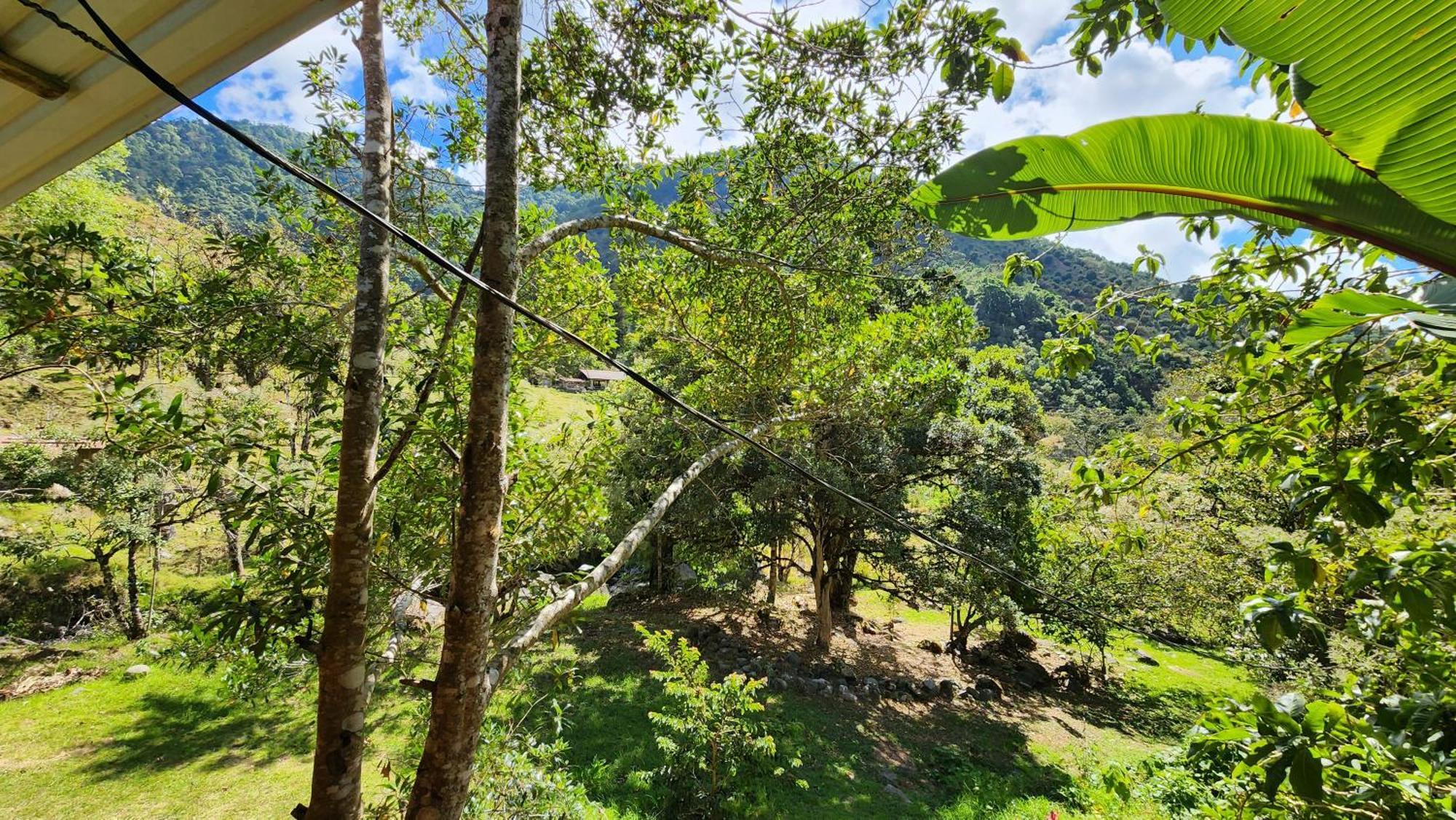 Hospedajes Richie Eco Camp Providencia Buitenkant foto