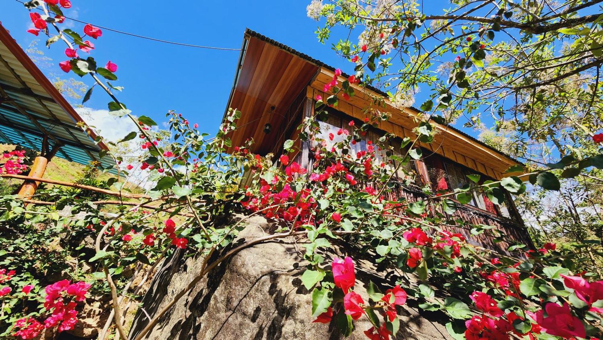 Hospedajes Richie Eco Camp Providencia Buitenkant foto