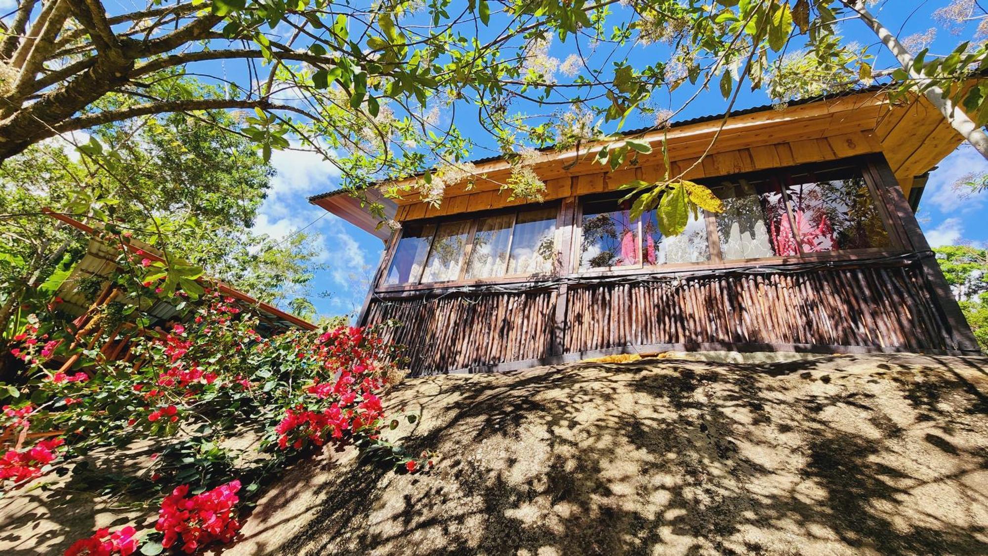 Hospedajes Richie Eco Camp Providencia Buitenkant foto